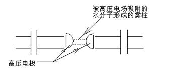 4729064_看圖王.jpg